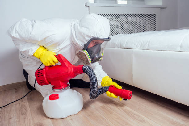 Best Pest Control for Restaurants  in Hoyt Lakes, MN